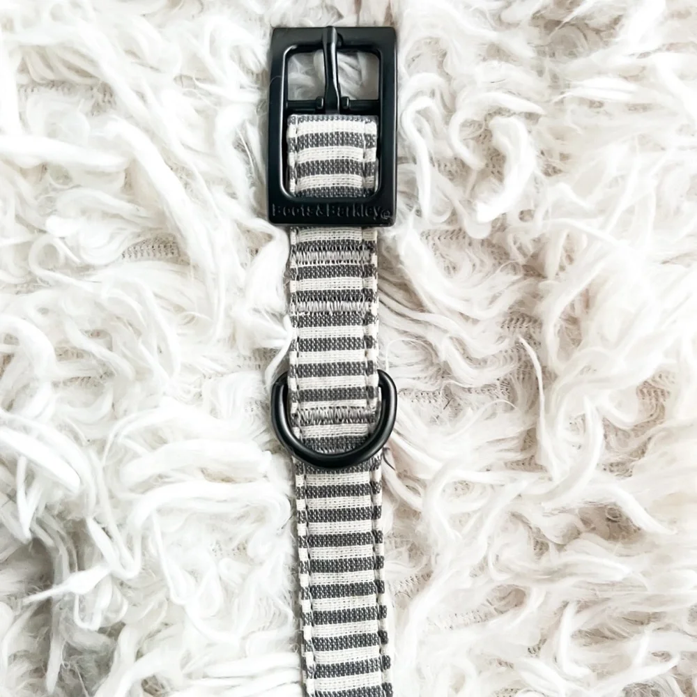 Boots & Barkley Striped Fashion Dog Collar with Pin Buckle, Size M